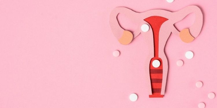 Journal of Woman's Reproductive Health-Fetal abdominal cyst