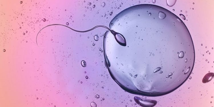 Journal of Fertility Biomarkers-EOF