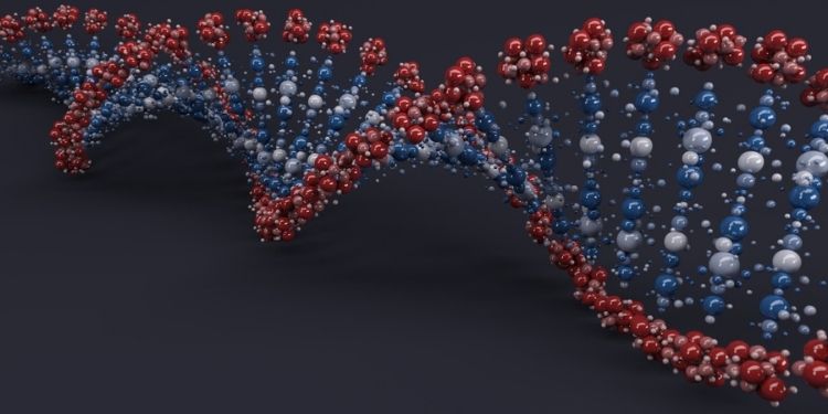 Article: Biological Activities of Four Synthetized Peptides